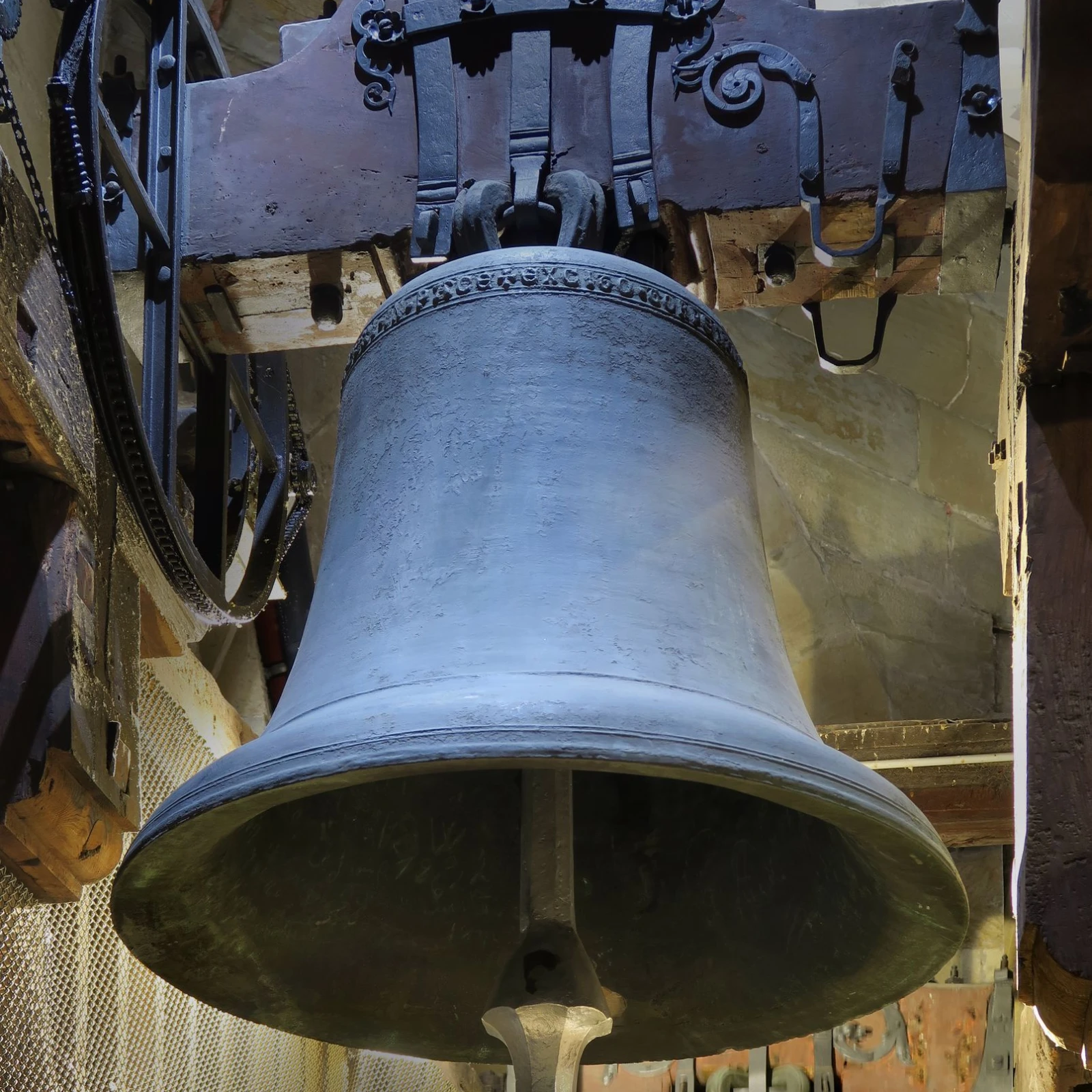 Hugo- oder Silberglocke