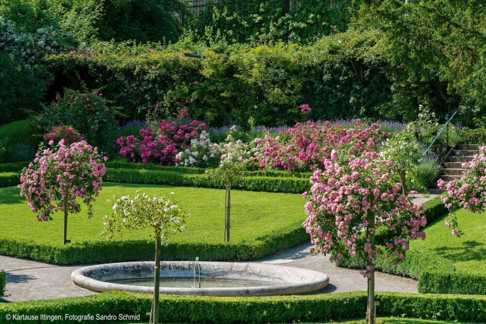 Kartause Ittingen Barockgarten mit CR