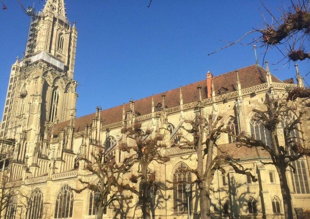 Muenster von Plattform