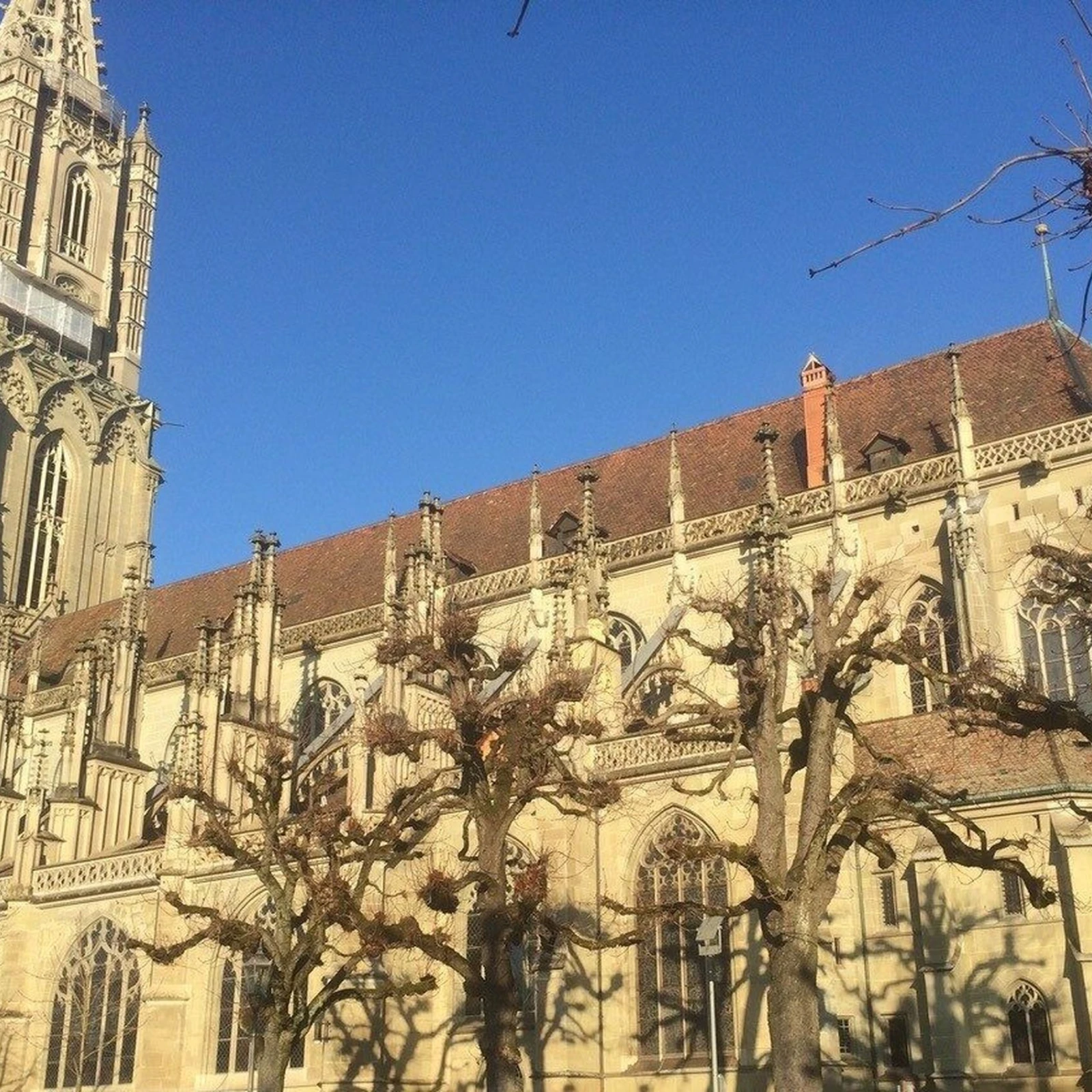 Muenster von Plattform