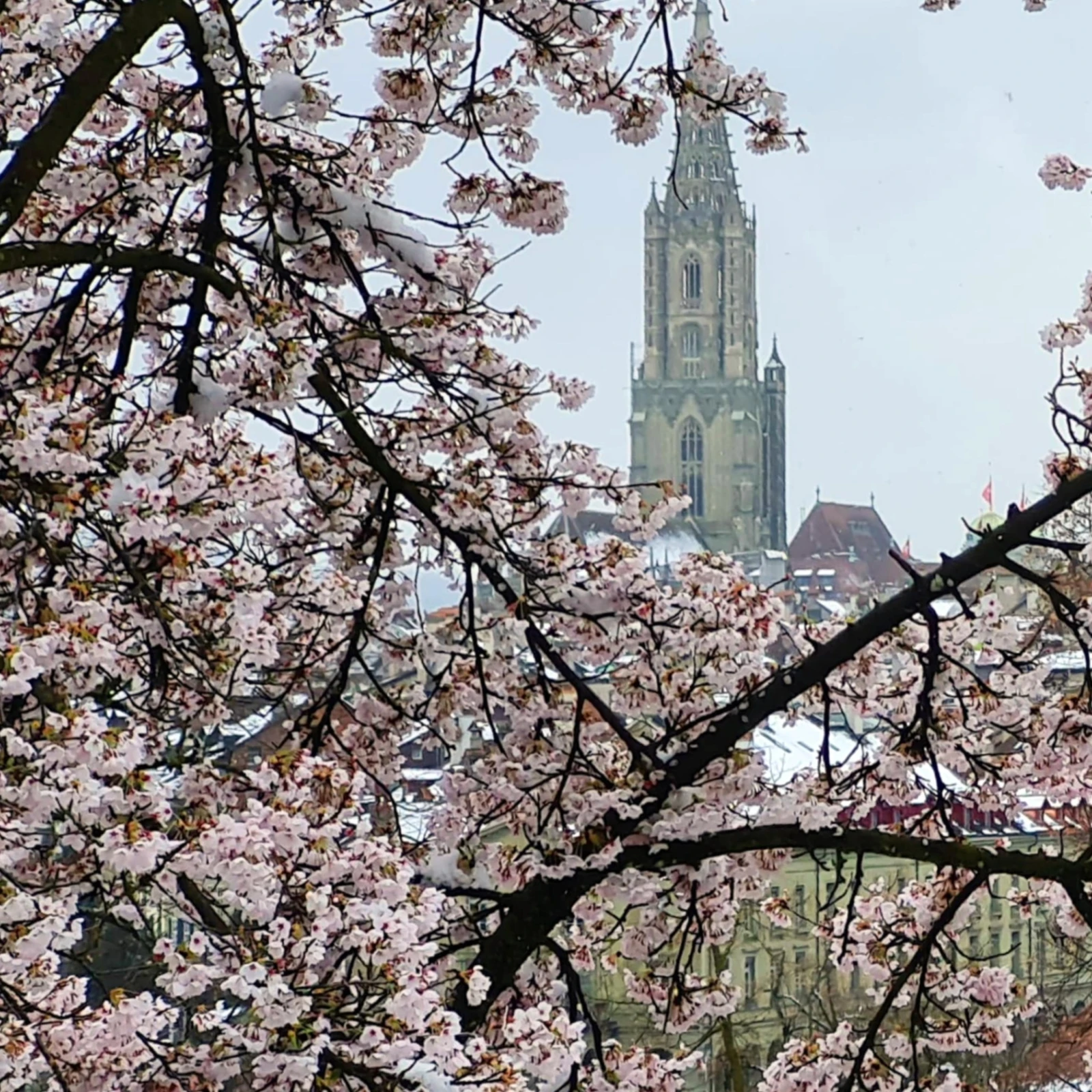 Bild ueberarbeitet resized